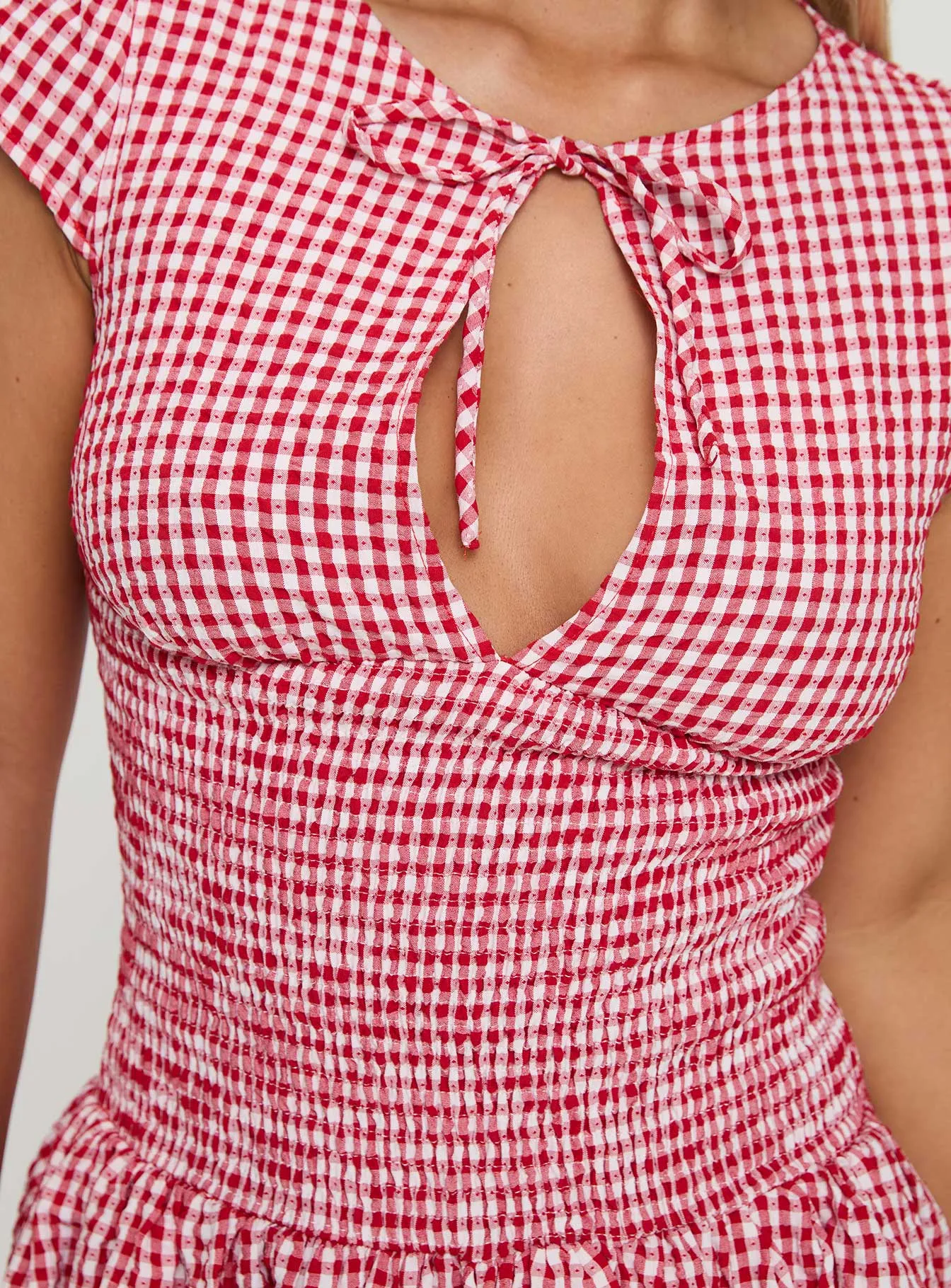 Ladybug Gingham Mini Dress Red