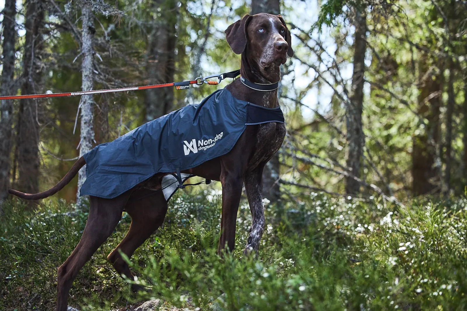 Non-stop Trail lightweight Dog Jacket