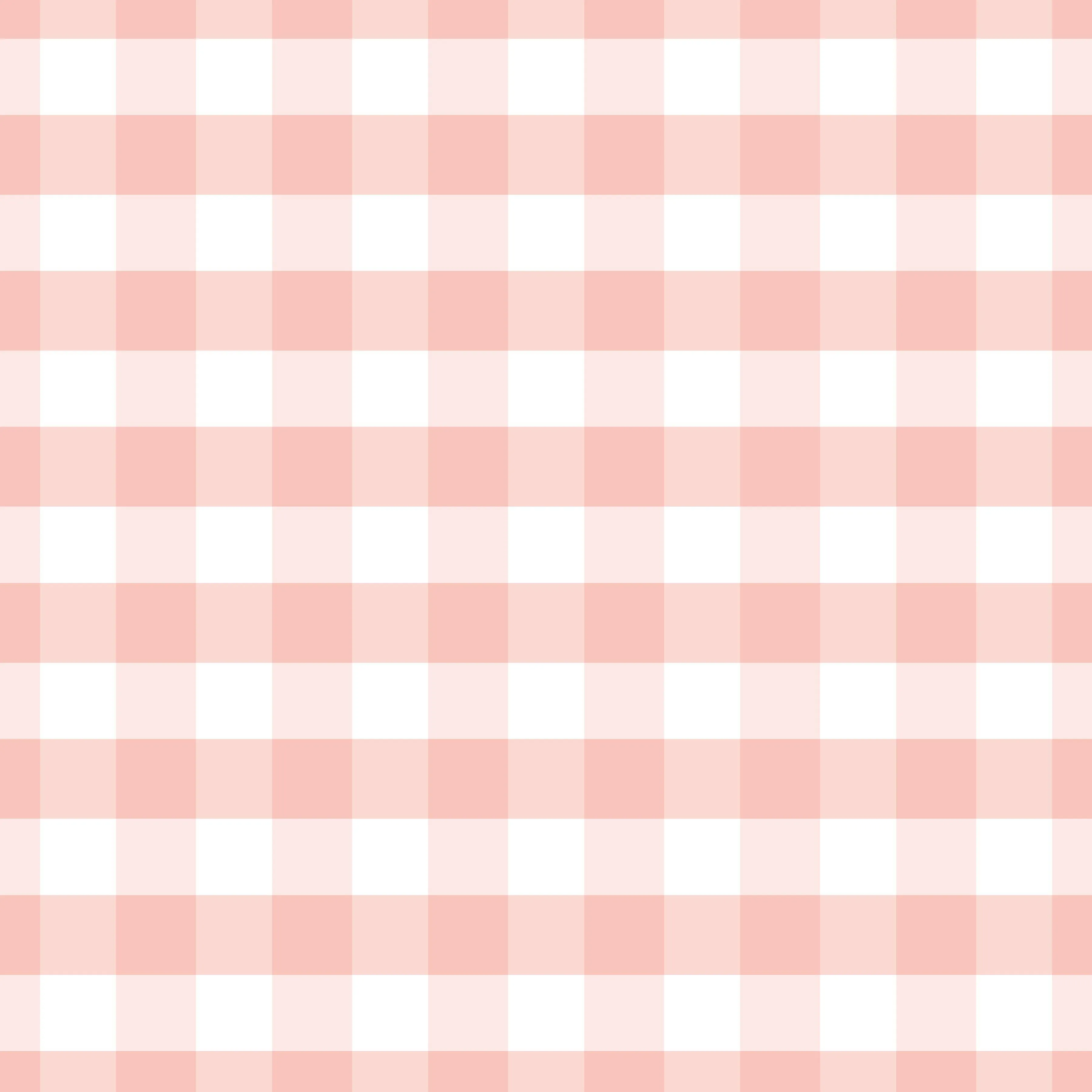 Pink Gingham 2pc Bamboo Pajamas